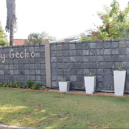 Lazy Gecko Accommodation Cradock Exterior photo